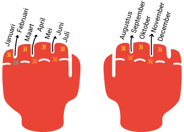 Rekenen met tijd op de basisschool