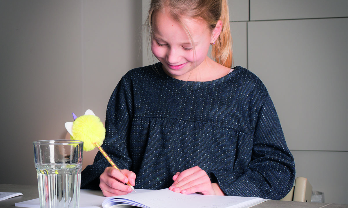 Wat is een bezittelijk voornaamwoord? (met duidelijk schema)