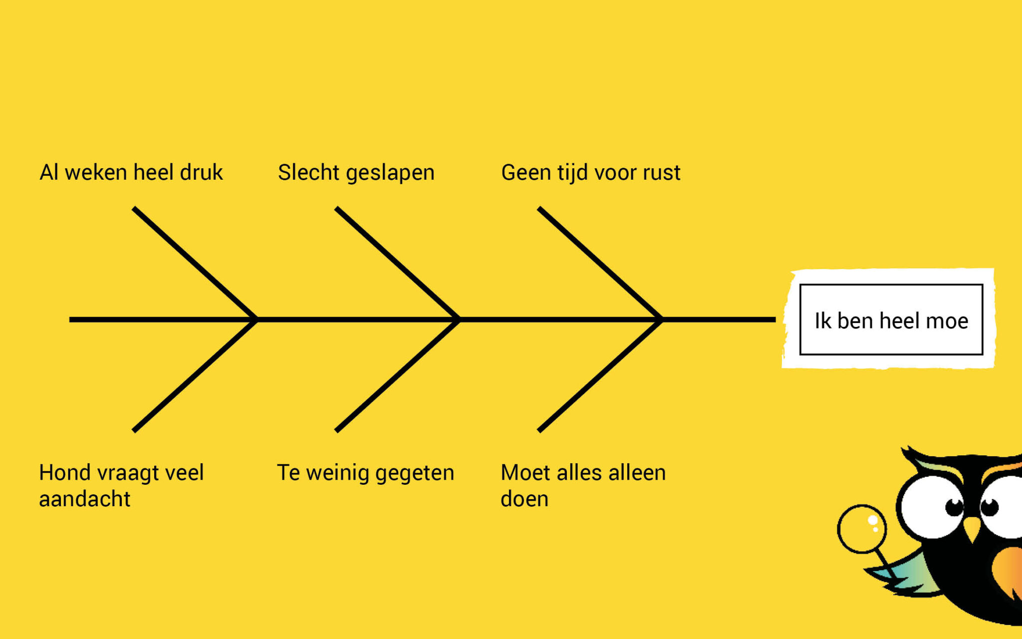 Weet jij het verschil tussen oorzaak en gevolg? Lees de uitleg in dit