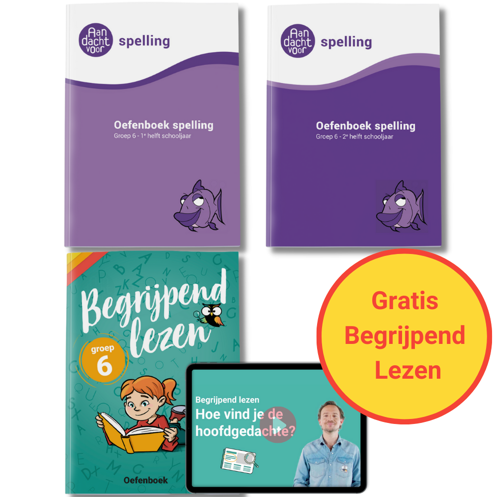 vs groep 6 taal