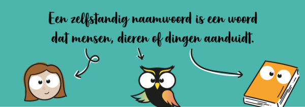 Alles over het zelfstandig naamwoord en lidwoord