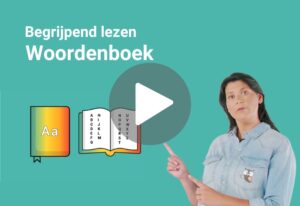 woordenboekspelletjes