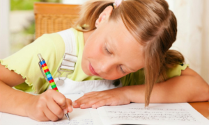 zelfstandig leren (zelfregulatie)